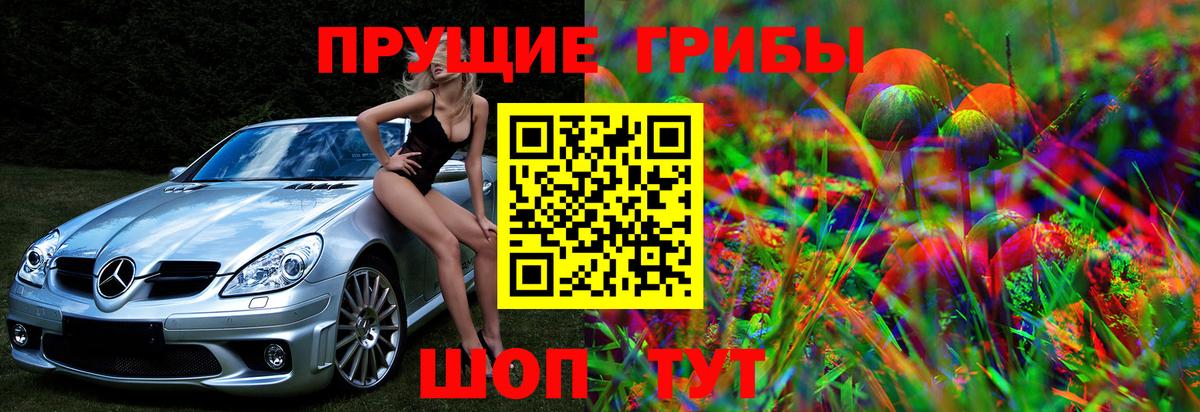 Псилоцибиновые грибы Psilocybe  Вход с VPN  Ивантеевка 
