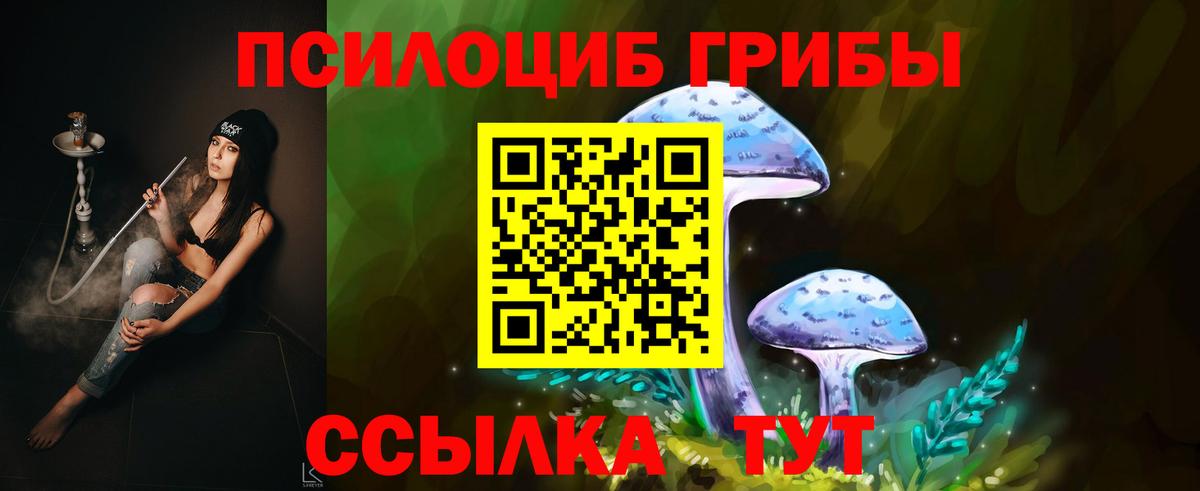 Галлюциногенные грибы Psilocybe Ивантеевка